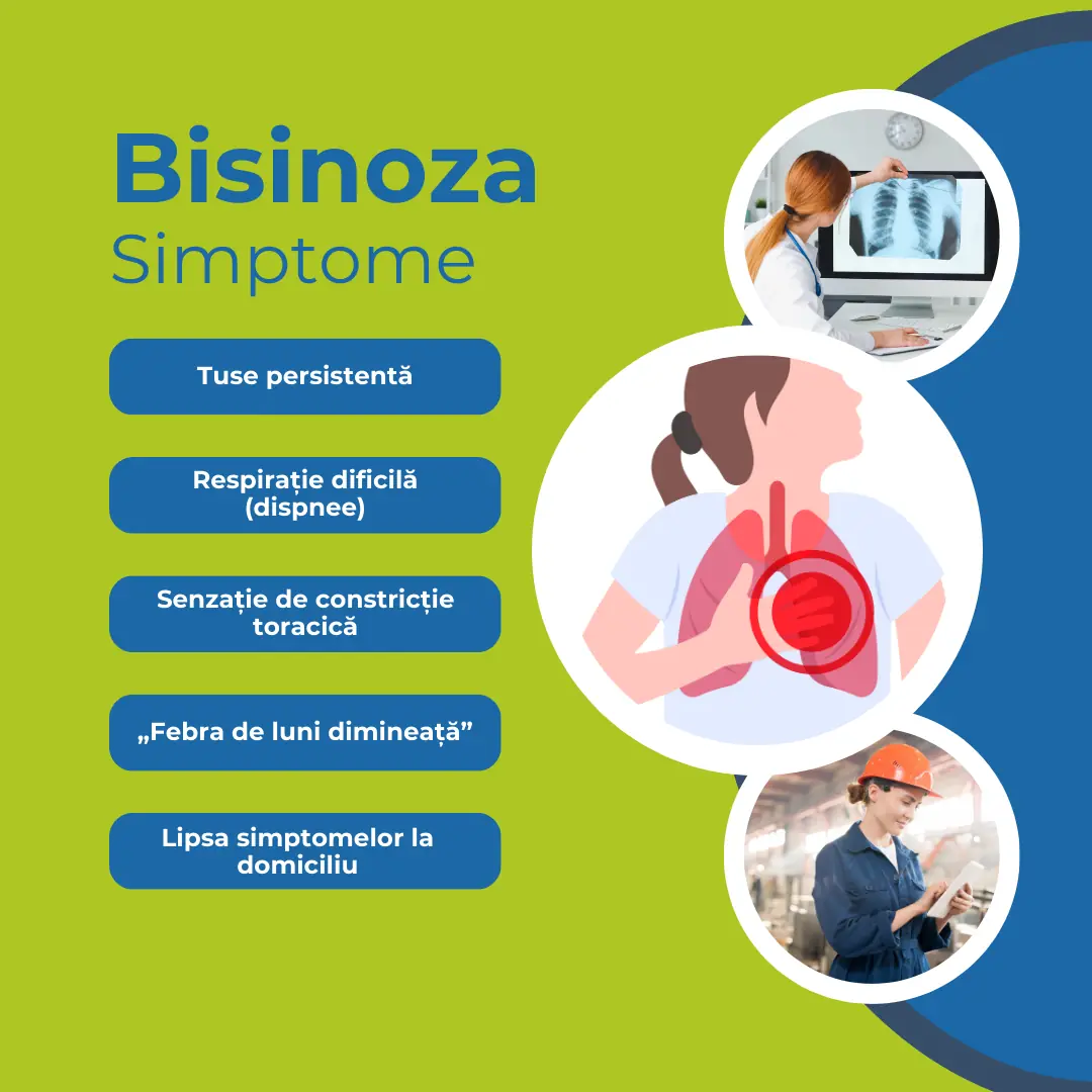 Bisinoza-opt.webp