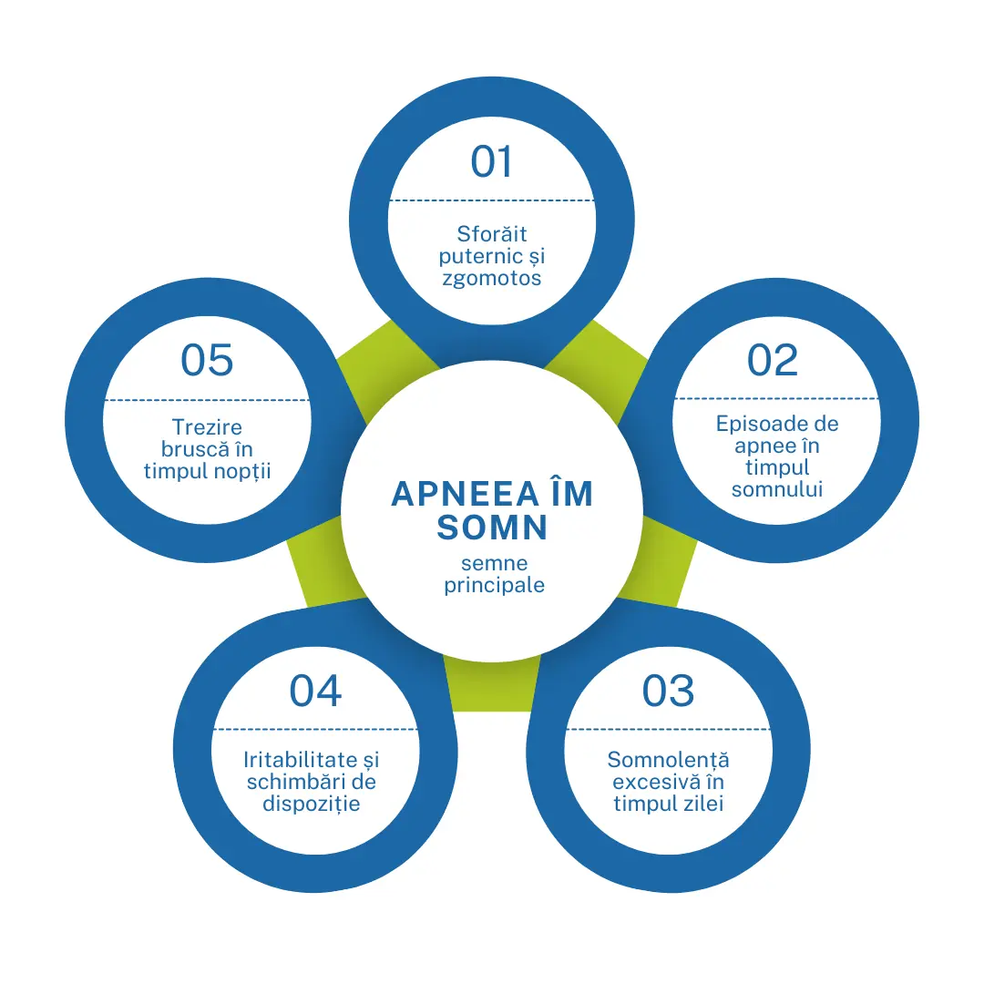 apneea-in-somn-opt.webp